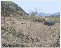  2025Ÿ��7666  ����