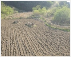  2025Ÿ��7666  ����