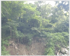  2025Ÿ��7909 ��� ��õ�� ȭ�ϸ� ��۸� 325      ����(����)���