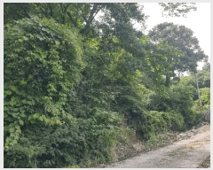  2025Ÿ��7909 ��� ��õ�� ȭ�ϸ� ��۸� 325      ����(����)���