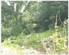  2025Ÿ��7909 ��� ��õ�� ȭ�ϸ� ��۸� 325      ����(����)���