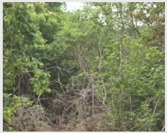  2025Ÿ��7909 ��� ��õ�� ȭ�ϸ� ��۸� 325      ����(����)���