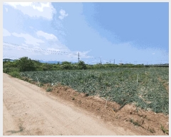  2025Ÿ��7985 ��� ��õ�� ��ȣ�� ���踮 444-8      ����(��)���