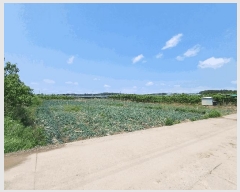  2025Ÿ��7985 ��� ��õ�� ��ȣ�� ���踮 444-8      ����(��)���