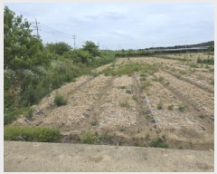  2025Ÿ��7985 ��� ��õ�� ��ȣ�� ���踮 444-8      ����(��)���