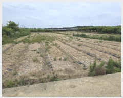  2025Ÿ��7985 ��� ��õ�� ��ȣ�� ���踮 444-8      ����(��)���