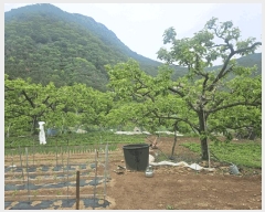  2025Ÿ��7996 ��� û���� ������ ���긮 653      ����(��1)���