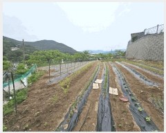  2025Ÿ��7996 ��� û���� ������ ���긮 653      ����(��1)���