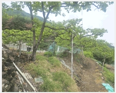  2025Ÿ��7996 ��� û���� ������ ���긮 653      ����(��1)���