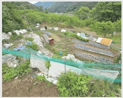  2025Ÿ��7996 ��� û���� ������ ���긮 653      ����(��1)���