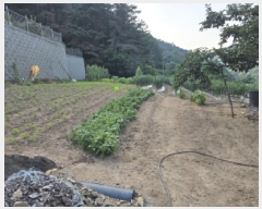  2025Ÿ��7996 ��� û���� ������ ���긮 653      ����(��1)���