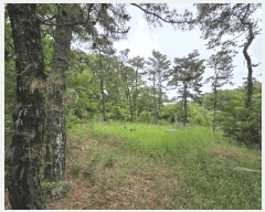  2025Ÿ��8083 �뱸 �ϱ� ������ 1310       ����(��1)���