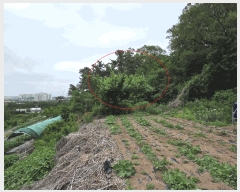  2025Ÿ��8083 �뱸 �ϱ� ������ 1310       ����(��1)���