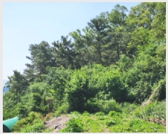  2025Ÿ��8083 �뱸 �ϱ� ������ 1310       ����(��1)���