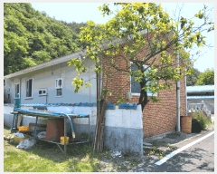  2025Ÿ��8137  ���ð��