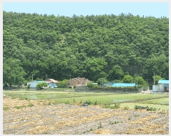  2025Ÿ��8137  ���ð��