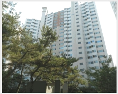  2025Ÿ��8313  ����Ʈ���