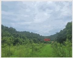  2025Ÿ��8360 ��� ��õ�� ��â�� ��渮 ��25      ����(�Ӿ�)���