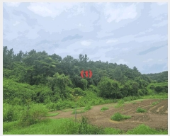  2025Ÿ��8360 ��� ��õ�� ��â�� ��渮 ��25      ����(�Ӿ�)���