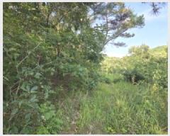  2025Ÿ��8360 ��� ��õ�� ��â�� ��渮 ��25      ����(�Ӿ�)���