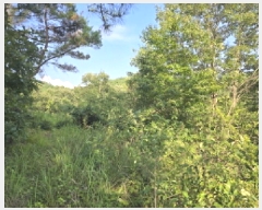  2025Ÿ��8360 ��� ��õ�� ��â�� ��渮 ��25      ����(�Ӿ�)���