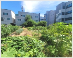  2025Ÿ��8458 �뱸 ���� ���ϵ� 1140       ��������