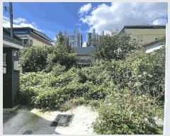  2025Ÿ��8729  ����