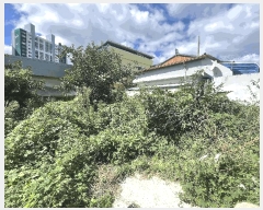  2025Ÿ��8729  ����