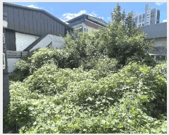  2025Ÿ��8729  ����