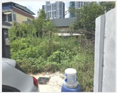  2025Ÿ��8729  ����