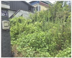  2025Ÿ��8729  ����