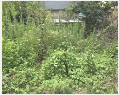  2025Ÿ��8729  ����