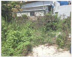  2025Ÿ��8729  ����