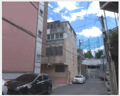  2025Ÿ��8786  �ټ���(����)���