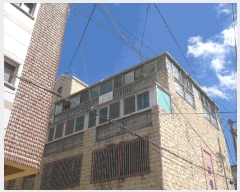  2025Ÿ��8786  �ټ���(����)���