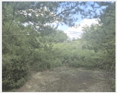  2025Ÿ��9251 ��� ���� ���̸� ���Ѹ� 231      ����(��1)���