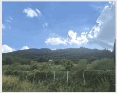  2025Ÿ��9251 ��� ���� ���̸� ���Ѹ� 231      ����(��1)���