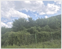  2025Ÿ��9251 ��� ���� ���̸� ���Ѹ� 231      ����(��1)���