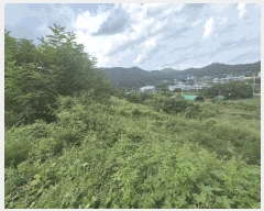  2025Ÿ��9251 ��� ���� ���̸� ���Ѹ� 231      ����(��1)���