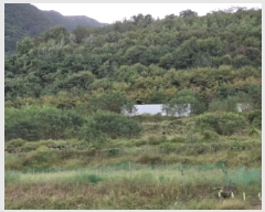  2025Ÿ��9251 ��� ���� ���̸� ���Ѹ� 231      ����(��1)���