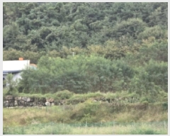  2025Ÿ��9251 ��� ���� ���̸� ���Ѹ� 231      ����(��1)���