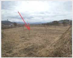  2025Ÿ37     115-1      ()