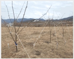  2025Ÿ37     115-1      ()