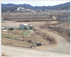  2025Ÿ37     115-1      ()