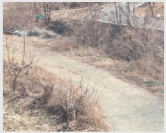  2025Ÿ37     115-1      ()