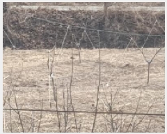  2025Ÿ37     115-1      ()