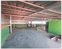  2025Ÿ��495  �ٸ����ð��