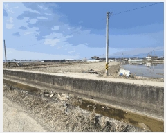  2025Ÿ��663 ��� ���� ���̸� ��縮 1290      ����(��)���