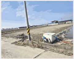  2025Ÿ��663 ��� ���� ���̸� ��縮 1290      ����(��)���