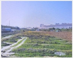  2025Ÿ��663 ��� ���� ���̸� ��縮 1290      ����(��)���